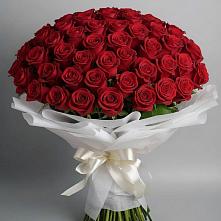 Букет 101 Красная роза Блэк Мэджик в Поселье