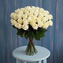 Букет 51 Белая роза Эдлесс Лав #REPLACE_PRED# Поселье