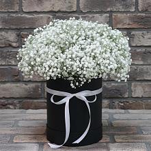 Цветочная композиция из Гипсофила в шляпной коробке в Поселье